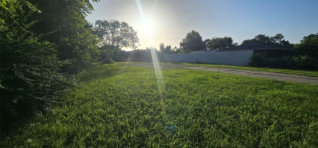 View of grassy yard | Image 11