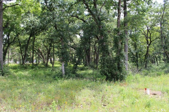 153 Private Road 1311, Home with 0 bedrooms, 0 bathrooms and null parking in Centerville TX | Image 13