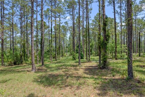 35408 Pinegate Trl, EUSTIS, FL, 32736-8394 | Card Image