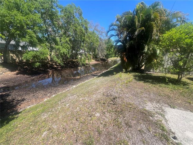 Back Yard View | Image 39