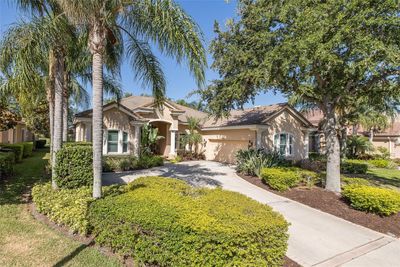 1453 El Pardo Drive, House other with 4 bedrooms, 3 bathrooms and null parking in Trinity FL | Image 3