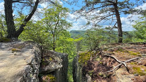 0 Flat Rock Rd, Jamestown, TN, 38556 | Card Image