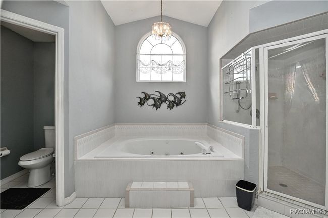 705 E Dakota Ct, House other with 3 bedrooms, 3 bathrooms and 3 parking in HERNANDO FL | Image 17