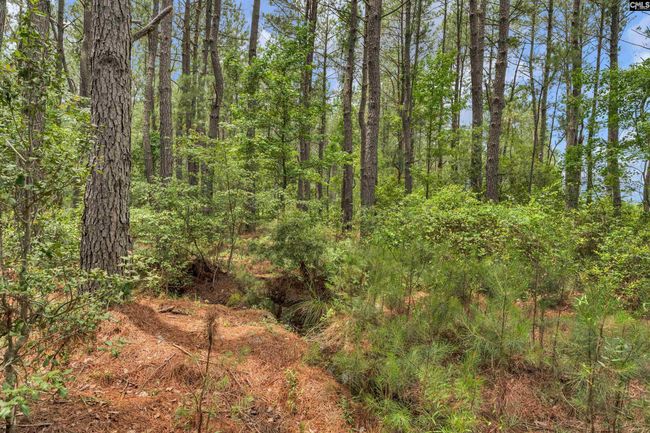 0000 N Brewington Rd, Home with 0 bedrooms, 0 bathrooms and null parking in Manning SC | Image 55