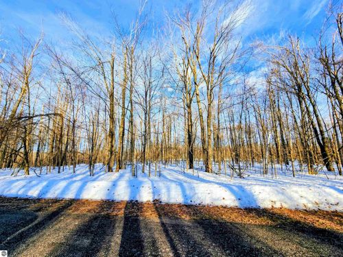 Lot 45 Terreton Cir, Elmira, MI, 49730 | Card Image