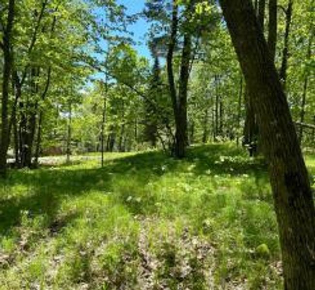Lot 2-Image 1.jpg | Image 8