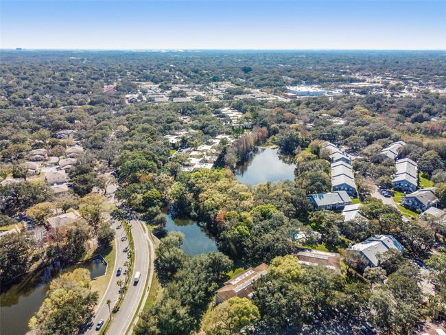 C - 6015 Laketree Lane, Condo with 2 bedrooms, 2 bathrooms and null parking in Temple Terrace FL | Image 57