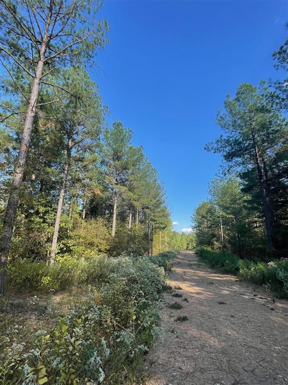 Land in Broken Bow 5