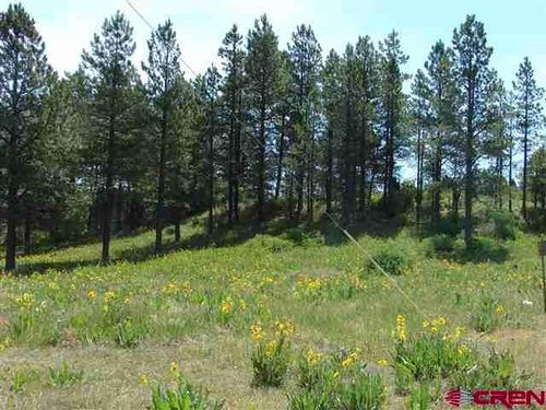 198 S Honeysuckle Ave, Pagosa Springs, CO, 81147 | Card Image