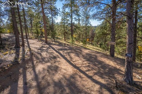 980 Spring Creek Dr, Divide, CO, 80814-8138 | Card Image