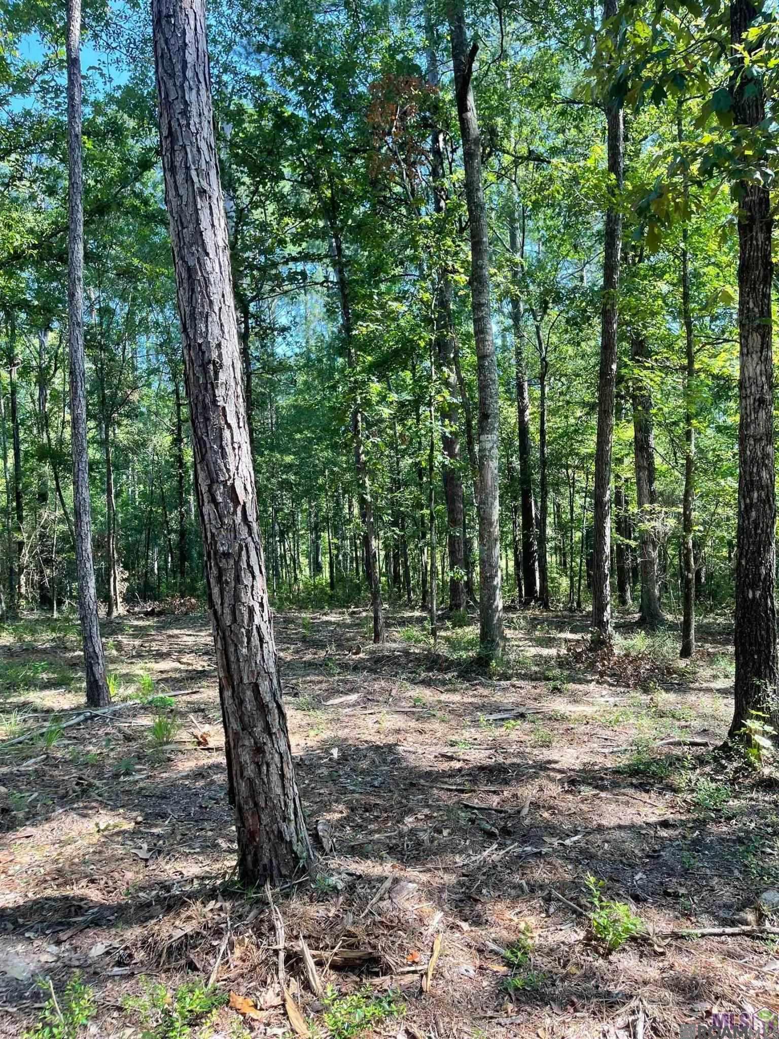 Land in Clinton 5