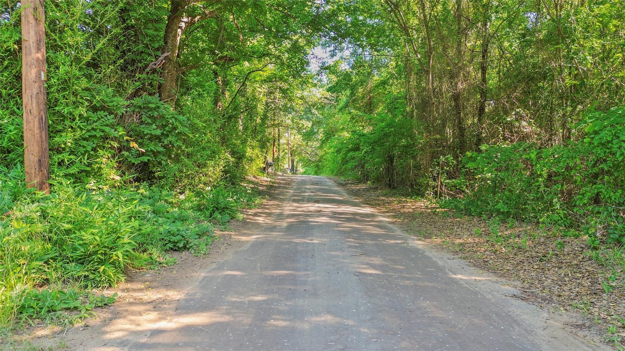 Land in Tyler 5