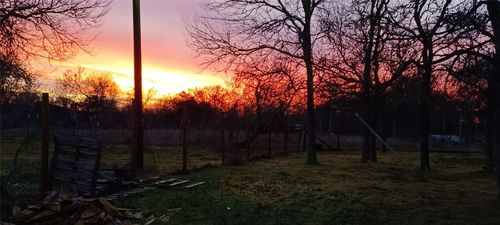 326 The Forest Rd, Dale, TX, 78616-4050 | Card Image