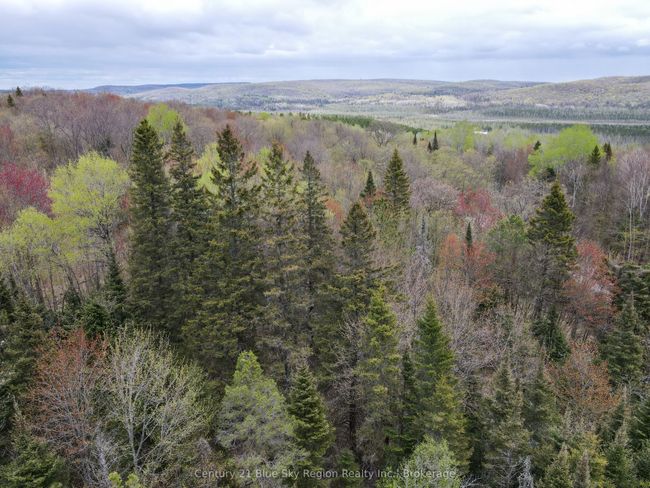 Lot 8 Lindsay Hill Road, Home with 0 bedrooms, 0 bathrooms and null parking in Parry Sound Remote Area ON | Image 24