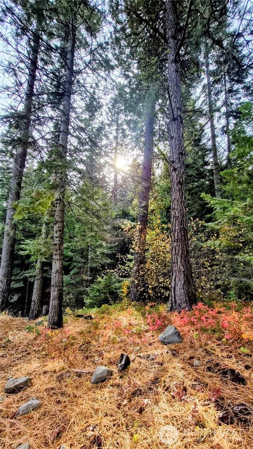 6299 Alder Ct, Wenatchee, WA, 98801-8800 | Card Image