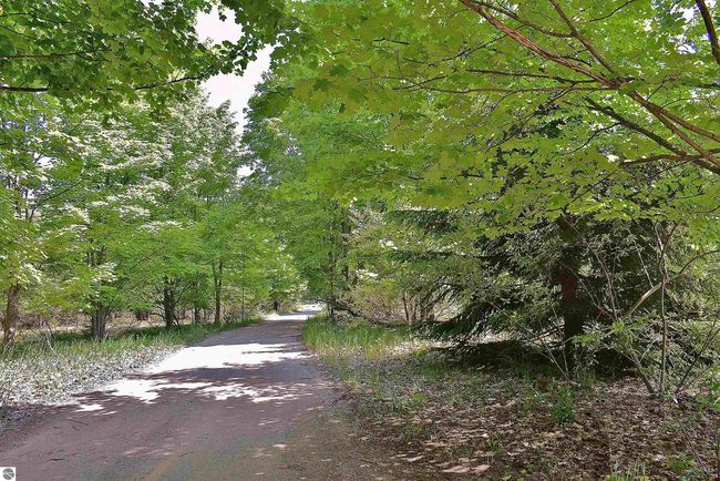 4467 S Forthill Rd, House other with 3 bedrooms, 2 bathrooms and null parking in Suttons Bay MI | Image 62