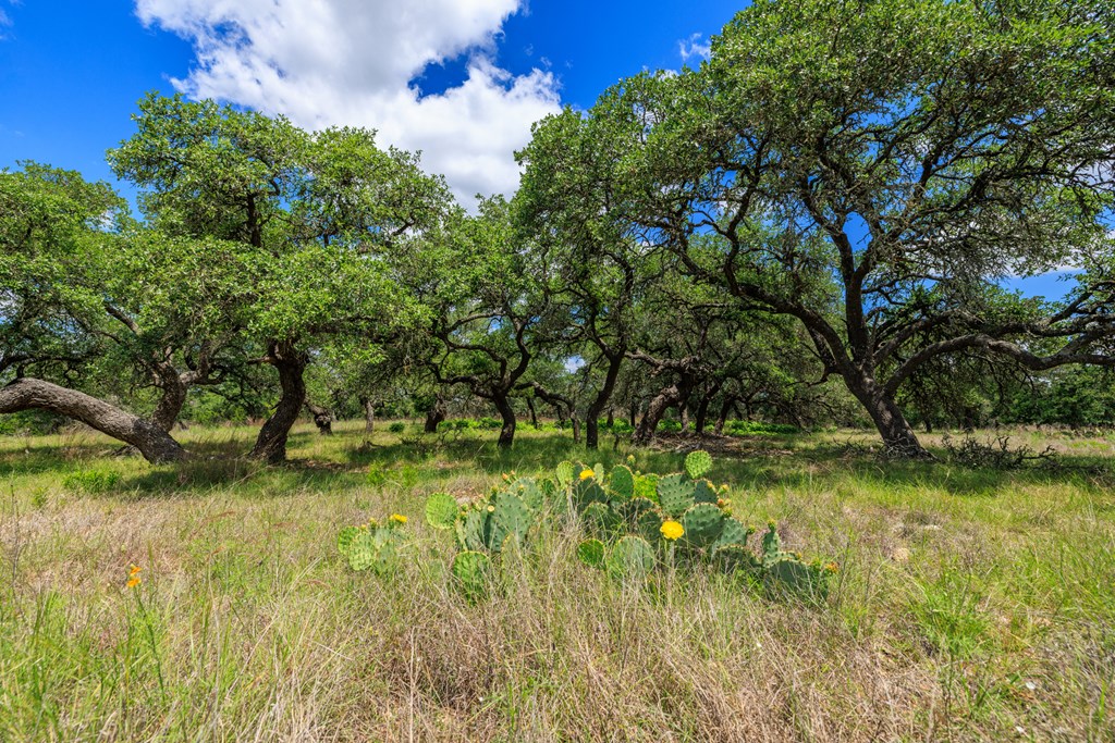 Land in Fredericksburg 4