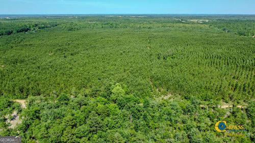 0 Montgomery Rd, Mauk, GA, 31058 | Card Image