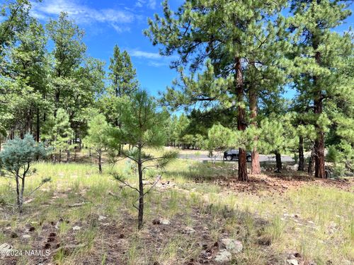 120-1601 Mule Deer Pl, Happy Jack, AZ, 86024 | Card Image