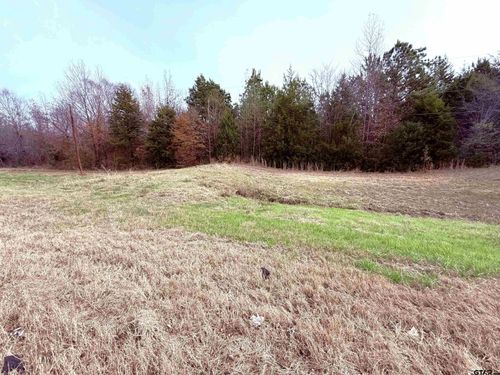 TBD N Main St, Winnsboro, TX, 75494 | Card Image