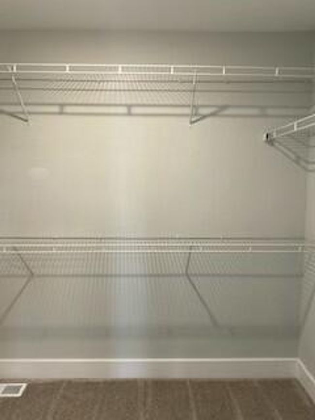 tempImagemFRcwE | Image 17