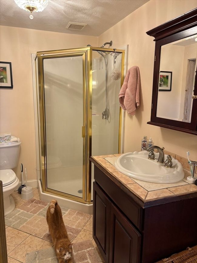20 Osgood Ave, House other with 3 bedrooms, 2 bathrooms and 3 parking in Lowell MA | Image 17