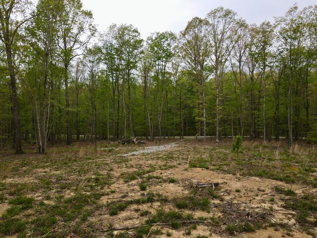 0 Deerwood Dr, Home with 0 bedrooms, 0 bathrooms and null parking in Sewanee TN | Image 18
