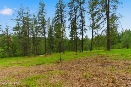 Parcel A S Dunlap Rd, Harrison, ID, 83833 | Card Image
