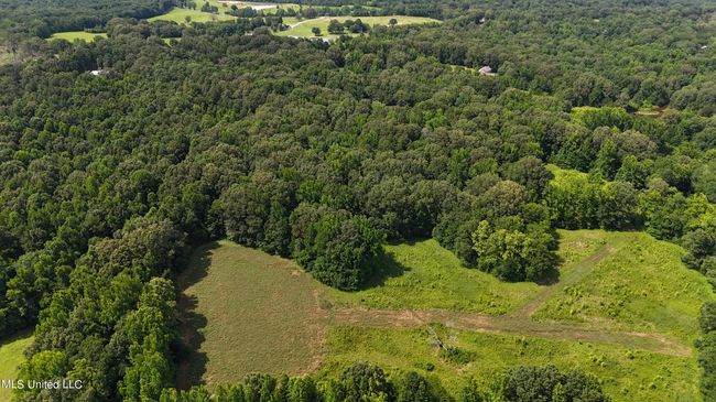 dji_fly_20240611_153300_0070_17181379402 | Image 11