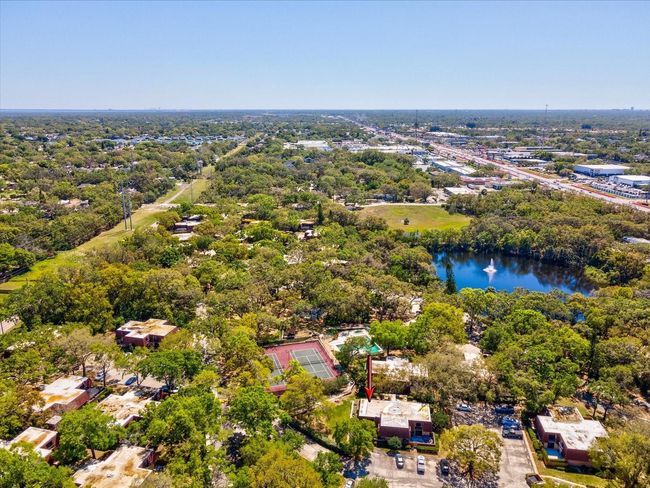 2644 2 Nd Ct, Townhouse with 2 bedrooms, 3 bathrooms and null parking in PALM HARBOR FL | Image 33
