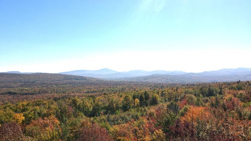 5043 Bray Hill Road, Phillips, ME, 04966 | Card Image