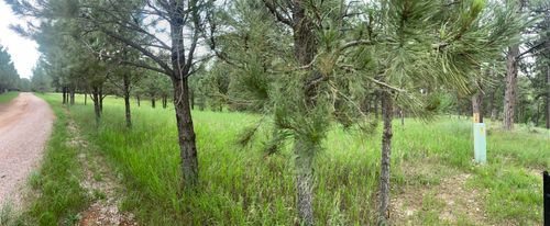 TBD Other, Custer, SD, 57730 | Card Image