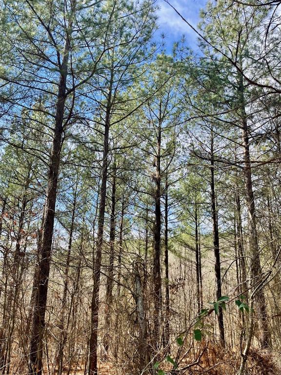 Land in Broken Bow 5