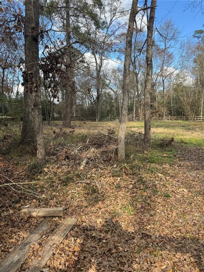 29530 Wildfern Trl, Home with 0 bedrooms, 0 bathrooms and null parking in Spring TX | Image 4