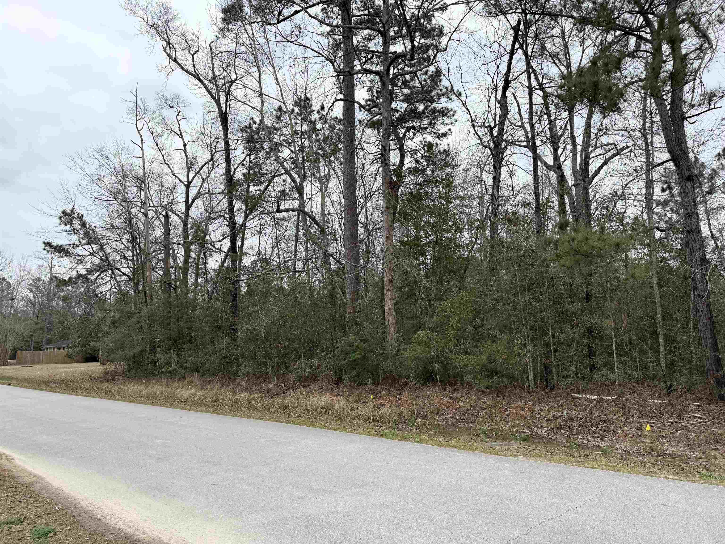 Land in Lumberton 4