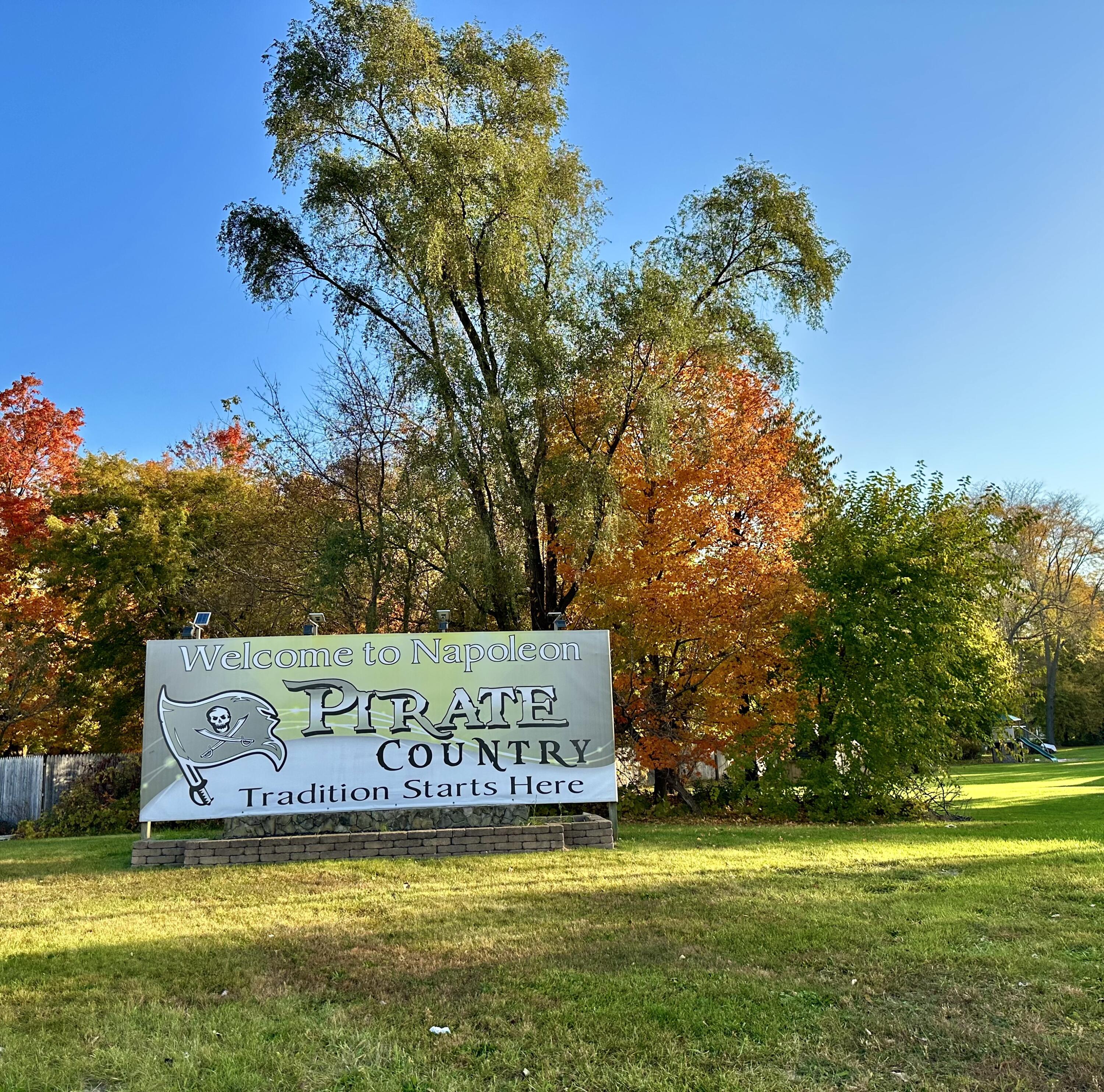 Residential in Napoleon Township 4