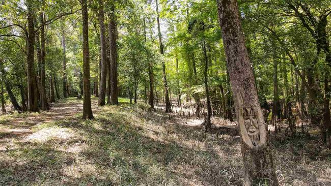 000 Highway 96 Byp, Home with 0 bedrooms, 0 bathrooms and null parking in Silsbee TX | Image 19