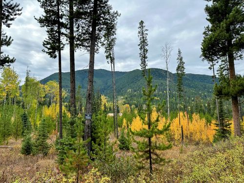 NHN Giefer Creek Rd, Essex, MT, 59916 | Card Image