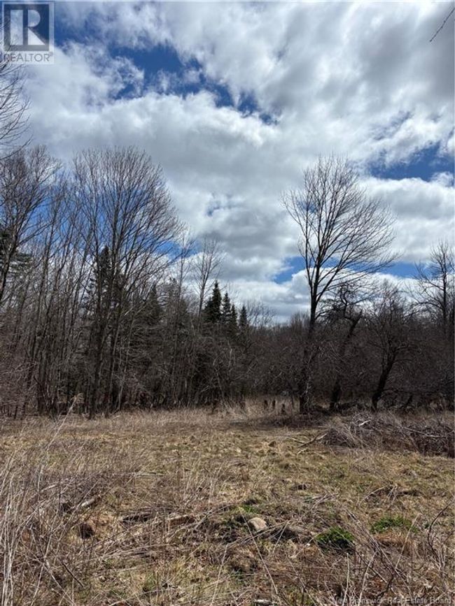 4640 Rte 127, Home with 0 bedrooms, 0 bathrooms and null parking in Chamcook NB | Image 5
