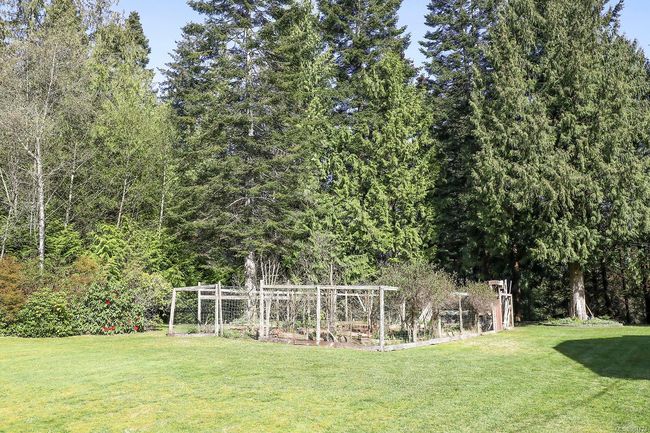 GROW YOUR OWN VEGY'S IN THE SUN DRENCHED FENCED GARDEN | Image 38