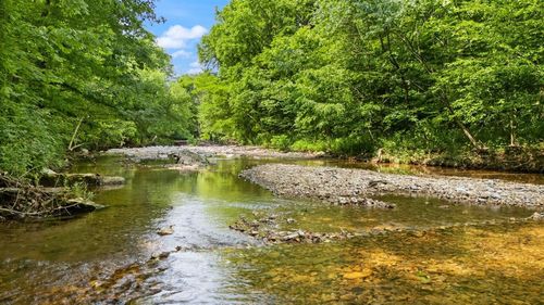 42 E Oneal Rd, Adolphus, KY, 42120-6230 | Card Image