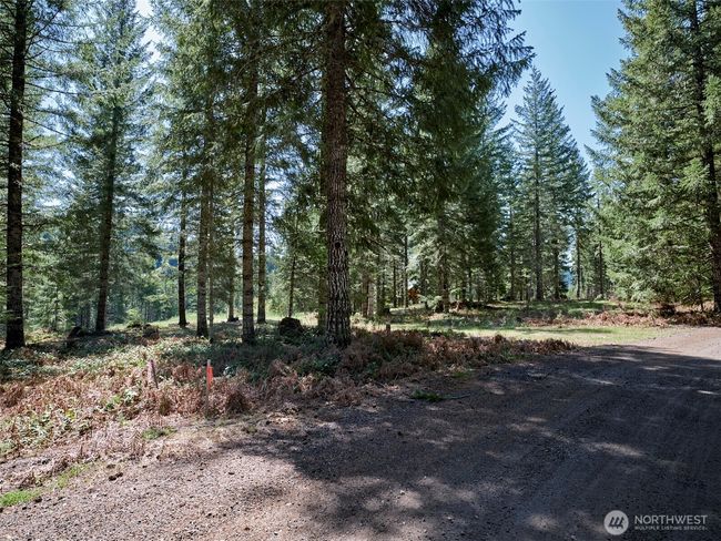 Driveway | Image 6
