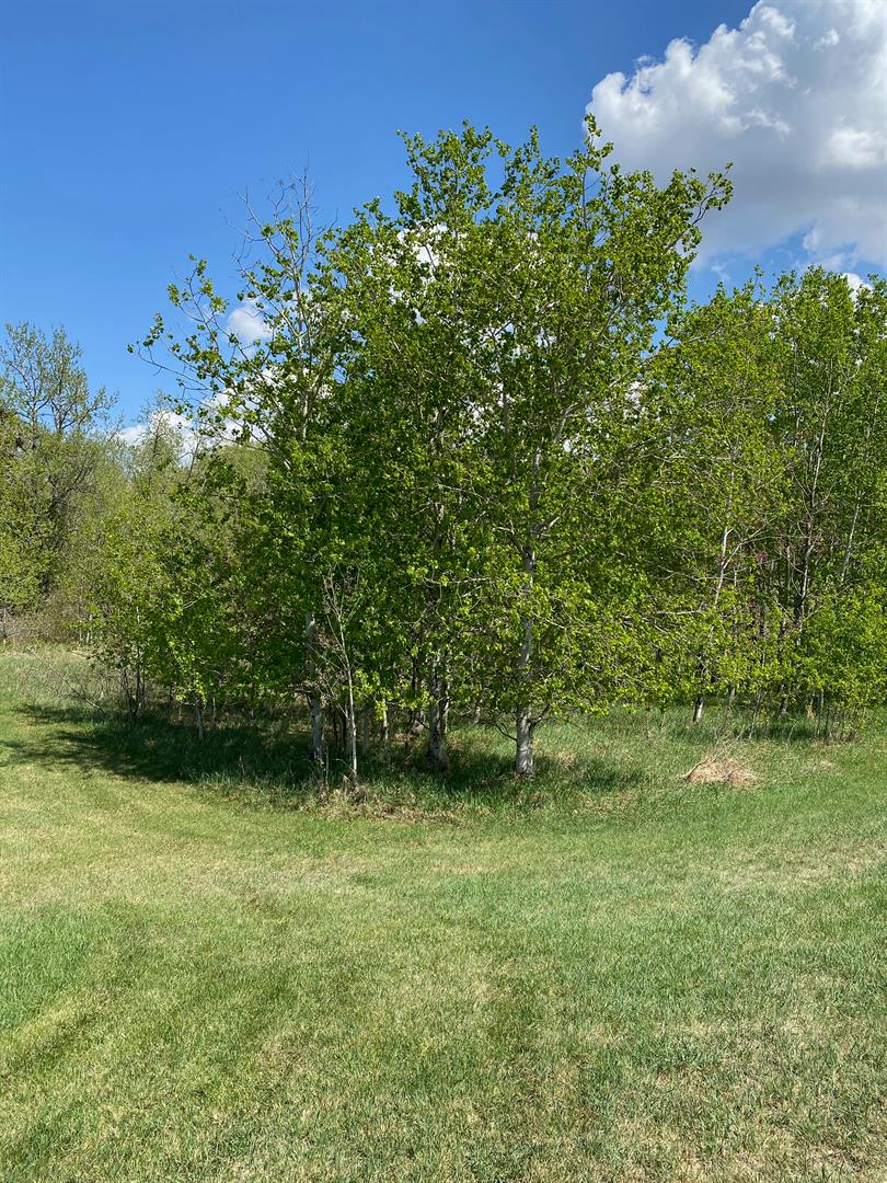 Land in Ponoka 2