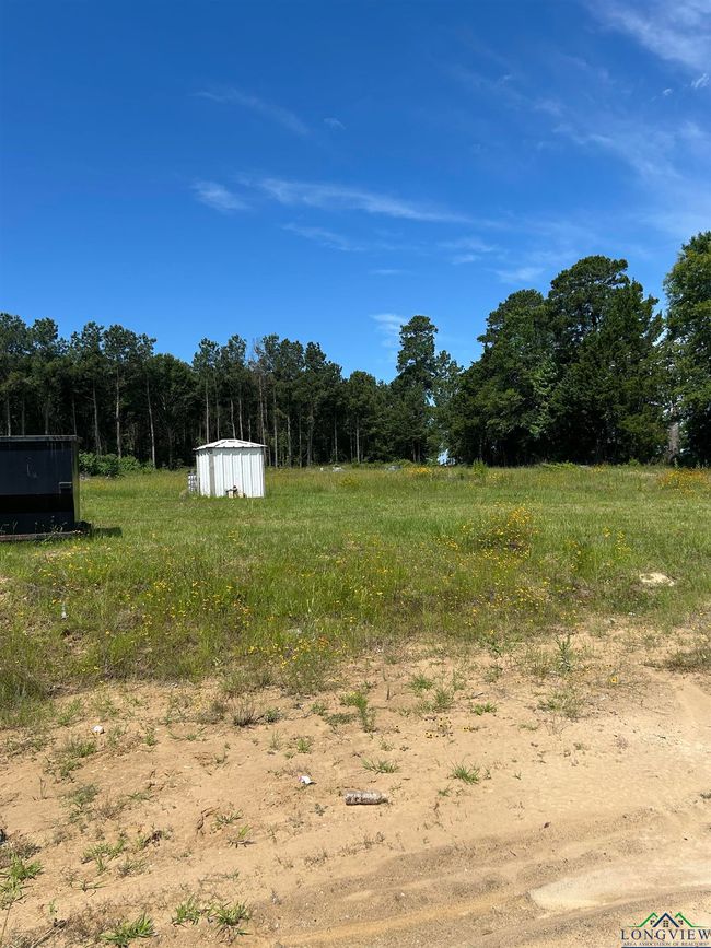 5302 Ne Loop, Home with 0 bedrooms, 0 bathrooms and null parking in Carthage TX | Image 12