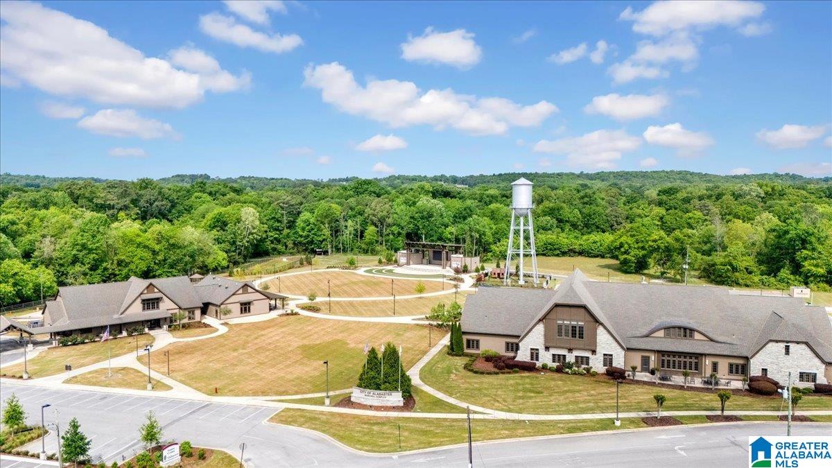 Commercial Sale in ALABASTER 3