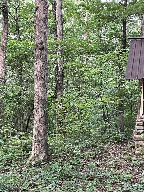 868 Watson Rd, Clinton, AR, 72031 | Card Image