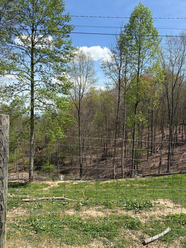 3327 Horton Ridge Rd, House other with 3 bedrooms, 2 bathrooms and null parking in Swords Creek VA | Image 9