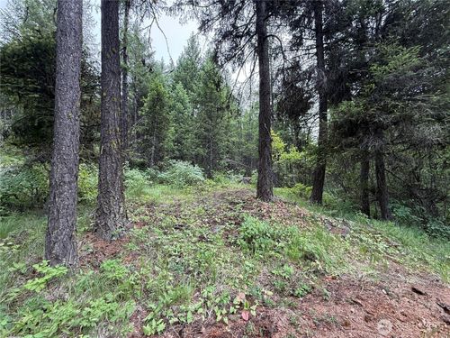 0 Mule Deer Rd, Republic, WA, 99166 | Card Image