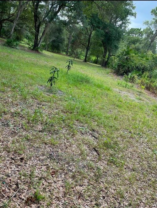 1301 Arapaho Trl, Geneva, FL, 32732-8910 | Card Image