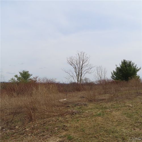 5062 Bergenfield Way, Fayetteville, NY, 13066-8724 | Card Image